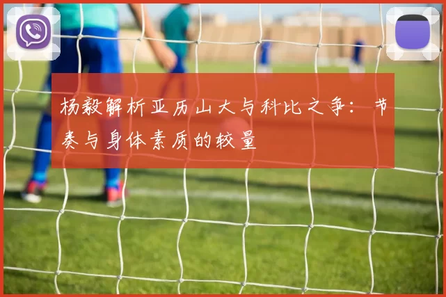杨毅解析亚历山大与科比之争：节奏与身体素质的较量