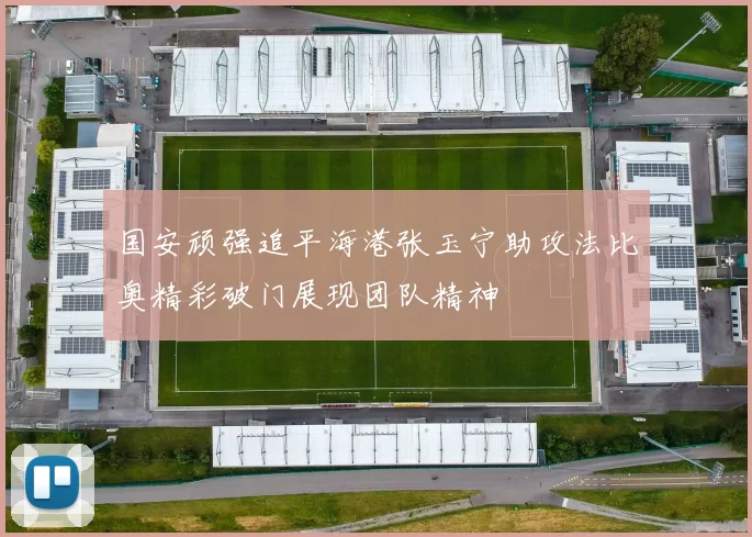 国安顽强追平海港张玉宁助攻法比奥精彩破门展现团队精神
