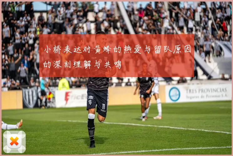 小桥表达对黄蜂的热爱与留队原因的深刻理解与共鸣